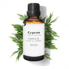 Eterisk olje Cypress Daffoil Daffoil 100 ml