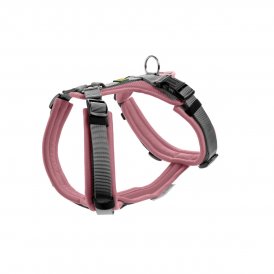 Hunter Koiran valjaat Maldon Up Pinkki 38-62 cm Vaaleanpunainen Polyesteri