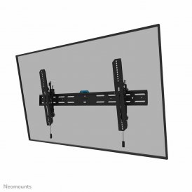 Neomounts TV-teline 12597273000 43-98" 43" 86" 100 kg Musta Teräs