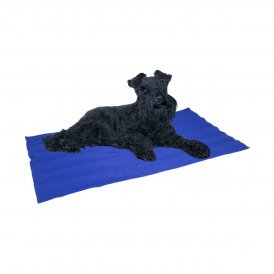 Koiran matto Nayeco Cool mat Sininen Viilentävä geeli (50 x 40 cm)