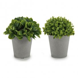 Dekorationspflanze Grau grün Kunststoff 13 x 17 x 13 cm
