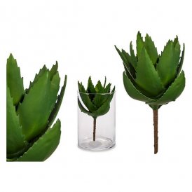 Dekorativ Plante 8430852770363 Grønn Plast