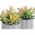 Dekorationspflanze DKD Home Decor Gelb grün Steingut Polypropylen (PP) (14 x 14 x 21 cm) (2 pcs)