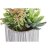 Decoratieve plant DKD Home Decor Geel Groen Keramiek Polypropeen (PP) (14 x 14 x 21 cm) (2 pcs)