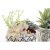 Dekorativ Plante DKD Home Decor Harpiks Polyetylen Kaktus 12 x 12 x 18 cm (2 enheter)