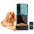 Cecotec Automaattinen syötin Pumba 6000 Purrfect Meal Smart Vision 6 L Musta Ruostumaton teräs