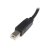 Kabel USB A naar USB B Startech USB2HAB50CM Zwart