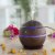 InnovaGoods Minikosteuttaja ilmanraikastin Dark Walnut Puu