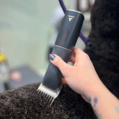 Andis Lemmikin karvaleikkuri BESPOKE Musta