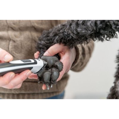 Trixie Lemmikin karvaleikkuri SLIM TR500 Valkoinen Musta Ruostumaton teräs 10 W