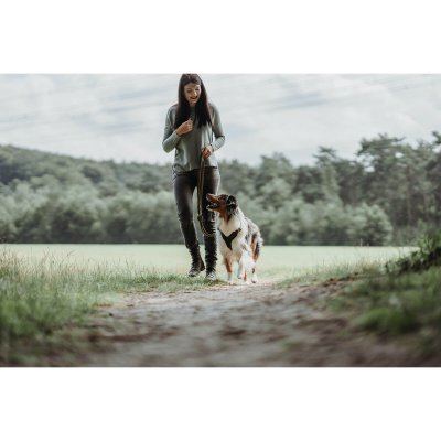 Hunter Koiran talutushihna Ruskea 2 m Säädettävä Nahka