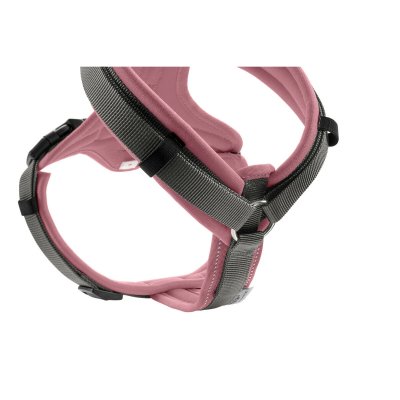 Hunter Koiran valjaat Maldon Up Pinkki 38-62 cm Vaaleanpunainen Polyesteri