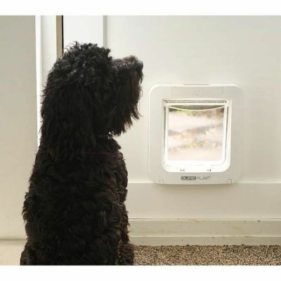 SureFlap Kissanluukku SUR101 17, 8 x 17 cm Valkoinen Muovi