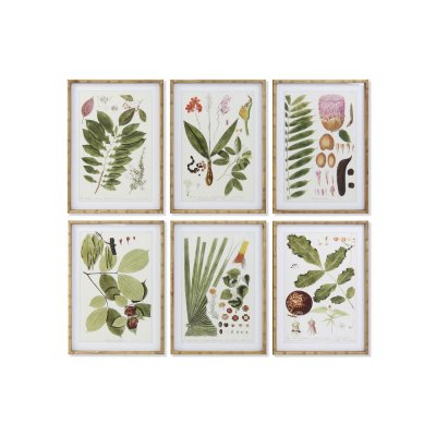 Maleri DKD Home Decor 50 x 2,8 x 70 cm Moderne Botaniske planter (6 Deler)