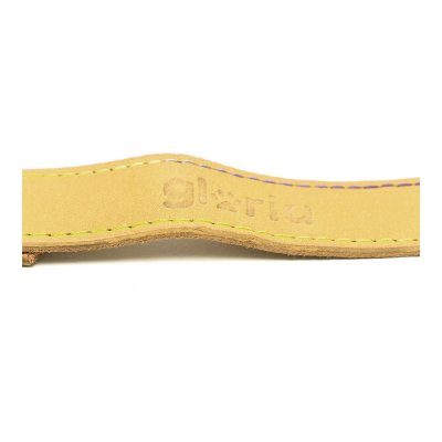 Koiran talutushihna Gloria Oasis 3 x 60 cm Keltainen