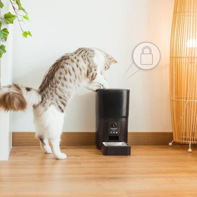 Cecotec Automaattinen syötin Pumba 6000 Purrfect Meal Smart Vision 6 L Musta Ruostumaton teräs