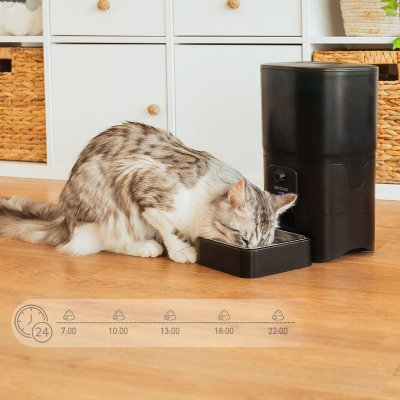 Cecotec Automaattinen syötin Pumba 6000 Purrfect Meal Smart Vision 6 L Musta Ruostumaton teräs