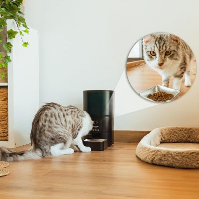 Cecotec Automaattinen syötin Pumba 6000 Purrfect Meal Smart Vision 6 L Musta Ruostumaton teräs