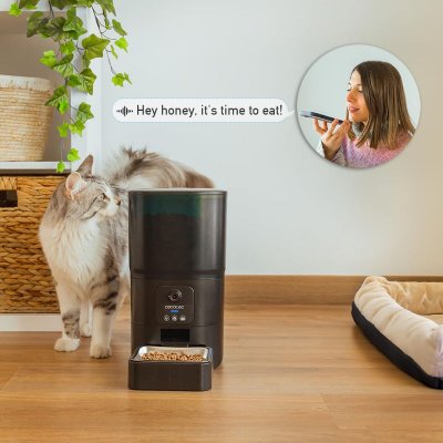 Cecotec Automaattinen syötin Pumba 6000 Purrfect Meal Smart Vision 6 L Musta Ruostumaton teräs