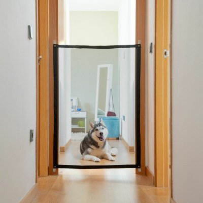 InnovaGoods Lemmikkieläinten turvaverkko Petinu Musta Ruostumaton teräs