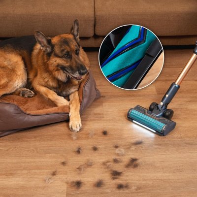 Cecotec Varsipölynimuri RX70 AquaPet Flex 800 W Harmaa Alumiini