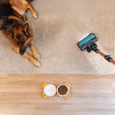 Cecotec Varsipölynimuri RX70 AquaPet Flex 800 W Harmaa Alumiini